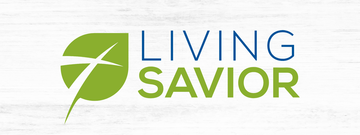 Living Savior Lutheran Church: Non-Profit Website Case Study image Living Savior Lutheran Church