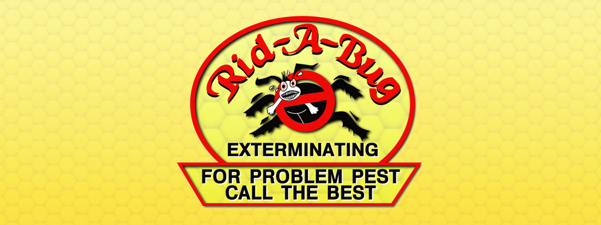 rid a bug