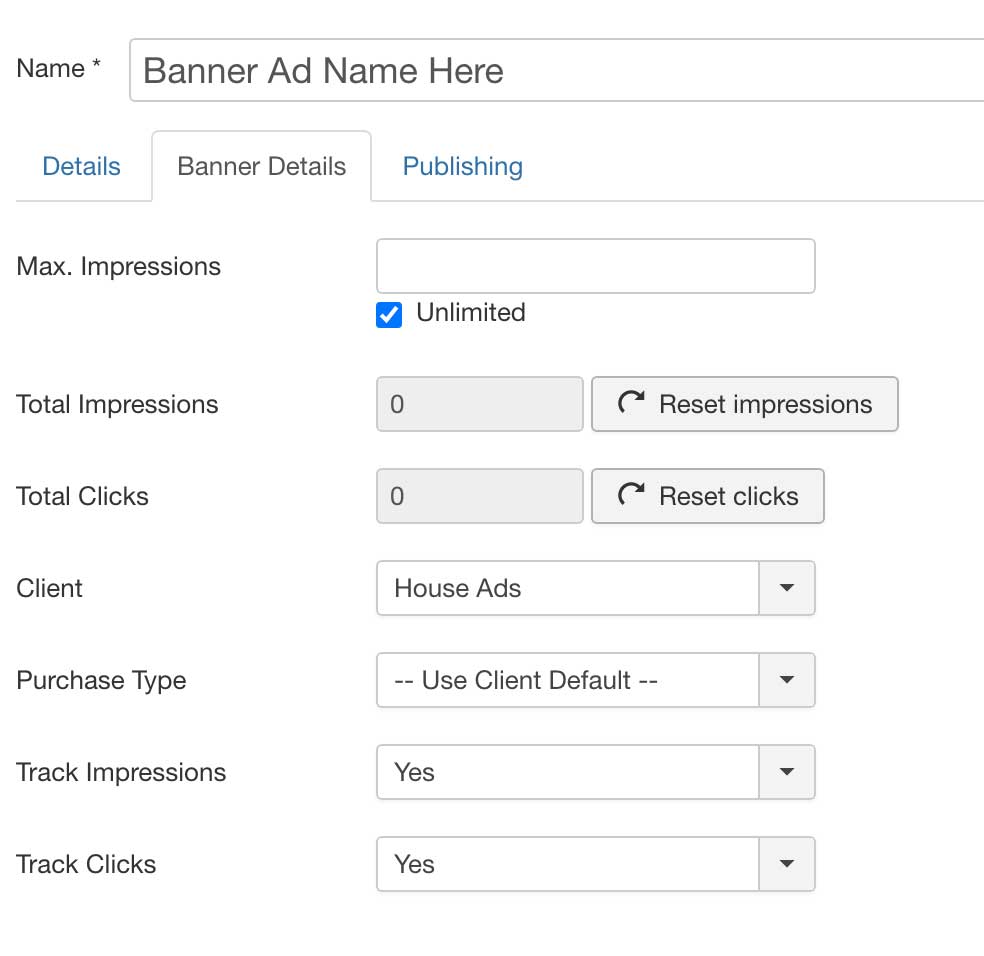 Banner Ad Best Practices for Schools image adsbannerdetails.jpg