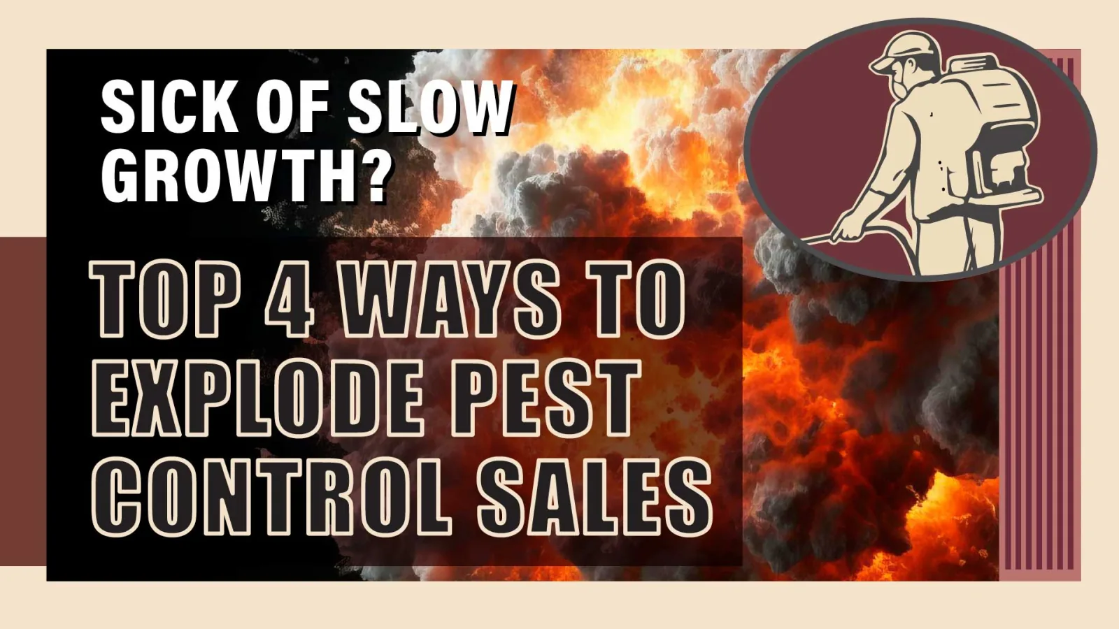 Top 4 Surefire Ways Your Pest Control Business Can Win More Customers