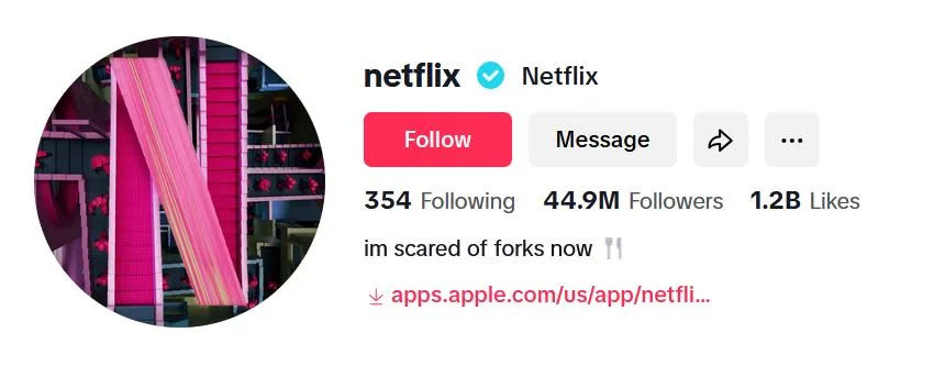 Choose Between Micro And: What Small Businesses Get Wrong image Screenshot of Netflix