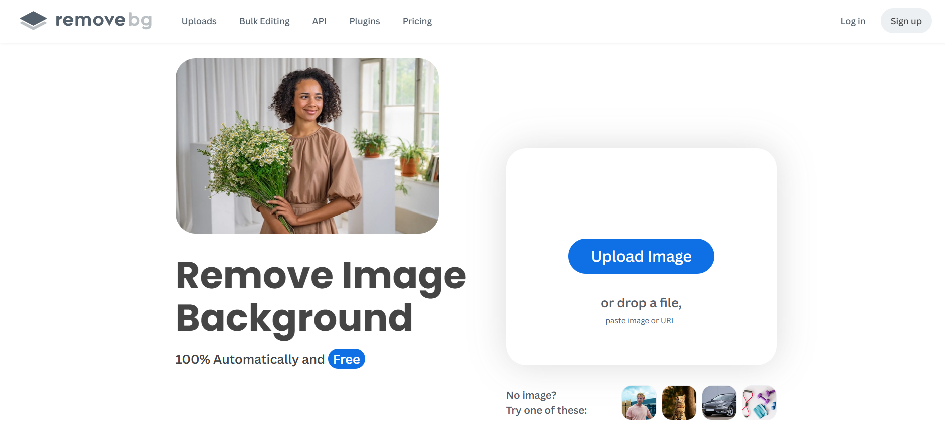 Removebg background removal tool with image upload feature
