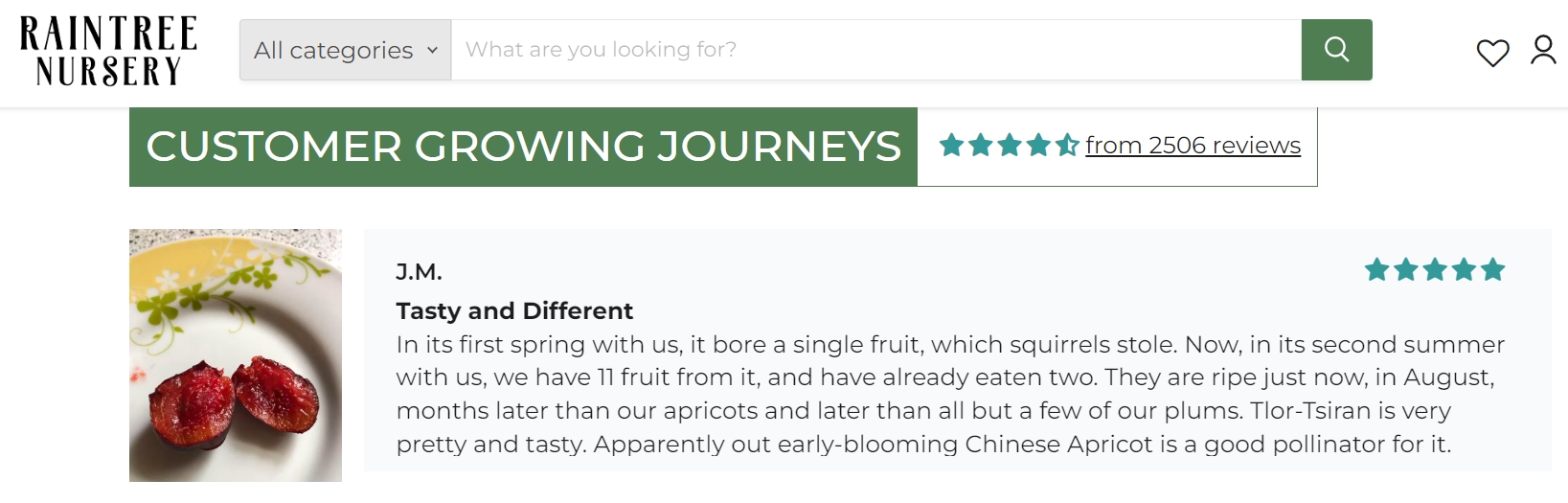 raintreenursery.com