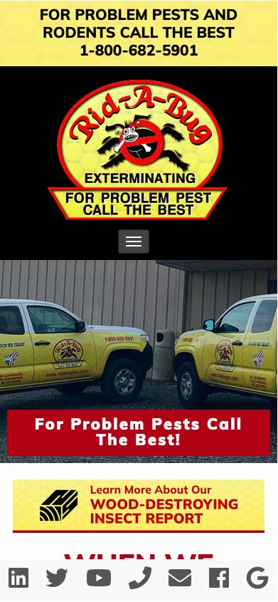 Your Pest Control Website Is Missing These 11 Features image Mobile-optimized website uses responsive design principles