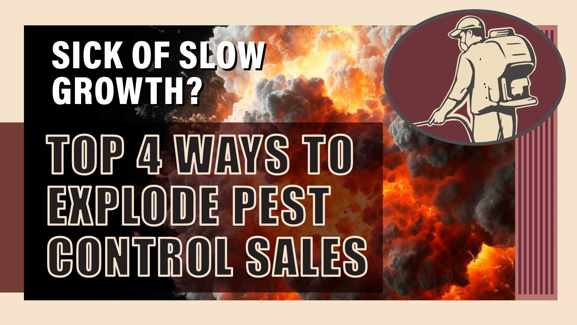 Top 4 Surefire Ways Your Pest Control Business Can Win More Customers