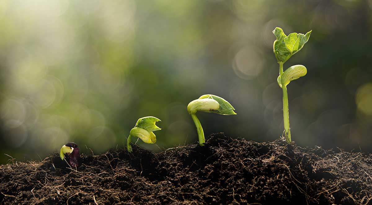 Starting or Growing a Small Business: 14 Tricks to Success