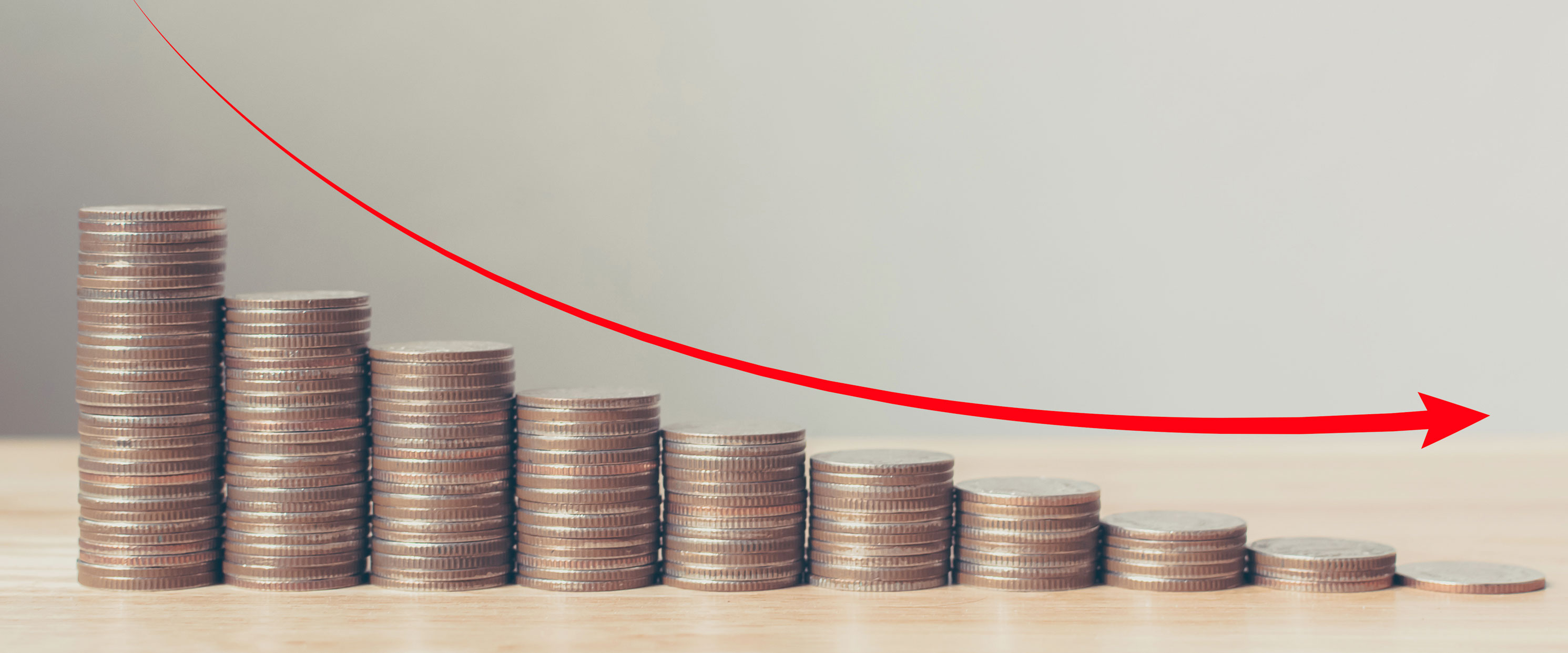 Affordable Local SEO Services for Small Businesses image roi coins