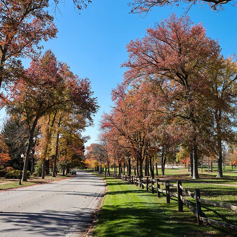 School Marketing in Wilmington, Delaware: Fill More Seats image Wilmington, DE