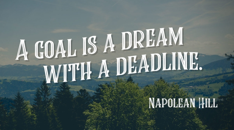 A goal is a dream with a deadline. -Napolean Hill