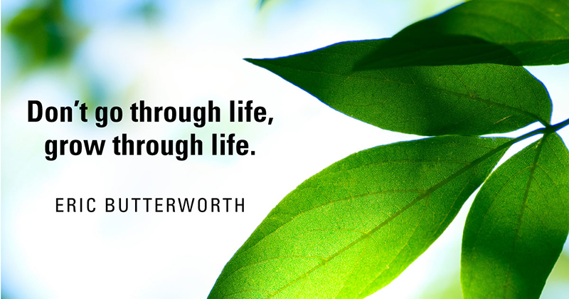 Inspirational Quotes: Real Examples From Real Businesses image Don’t go through life, grow through life. -Eric Butterworth